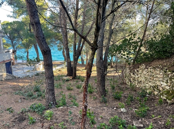 panorama-scouting-G425-14