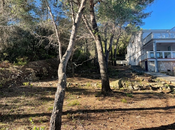 panorama-scouting-G425-12