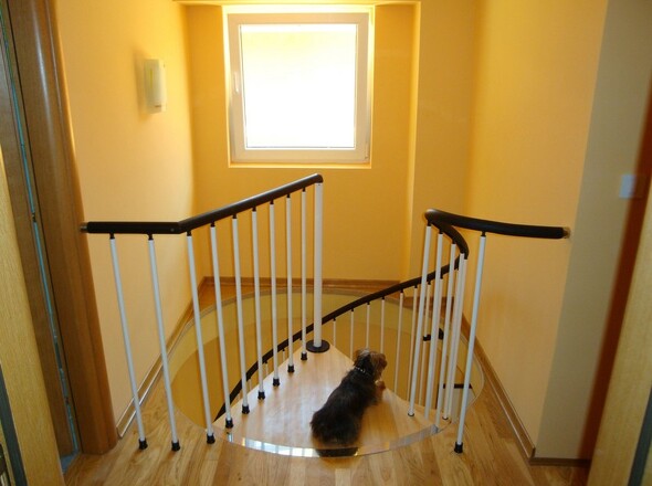 panorama-scouting-A2863-14