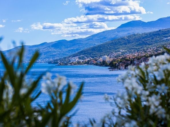 panorama-scouting-A2880-8