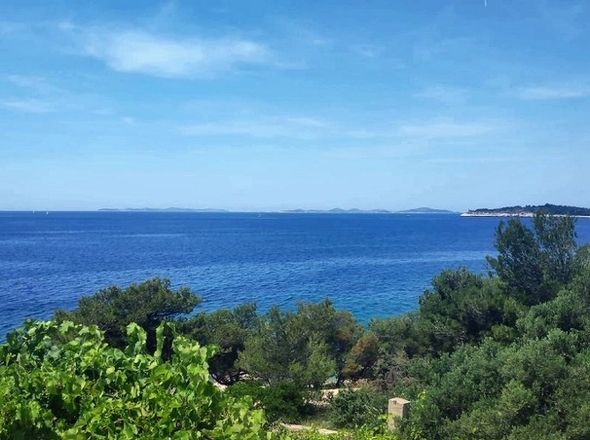 panorama-scouting-H2633-13