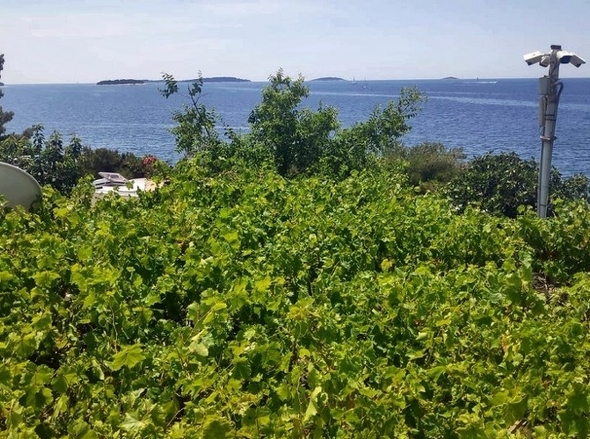 panorama-scouting-H2633-12