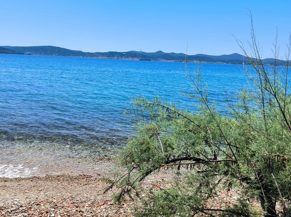 panorama-scouting-A2967_29