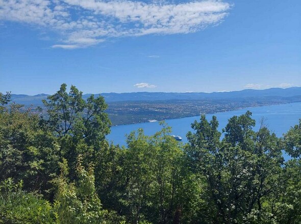 panorama-scouting-H2645_15