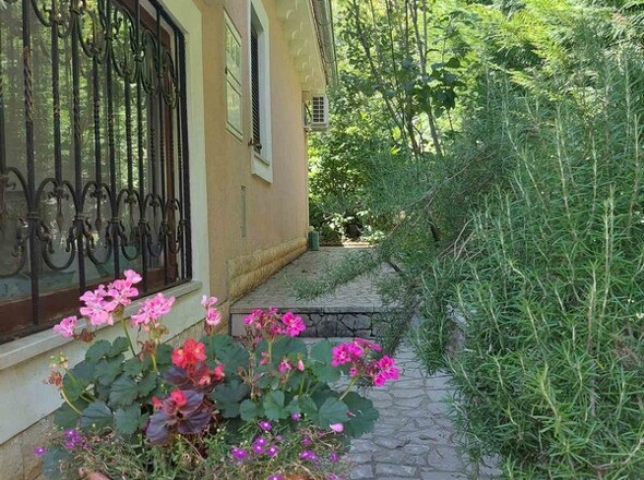 panorama-scouting-H2645_9