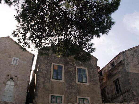 Panorama-Scouting-H2688-13