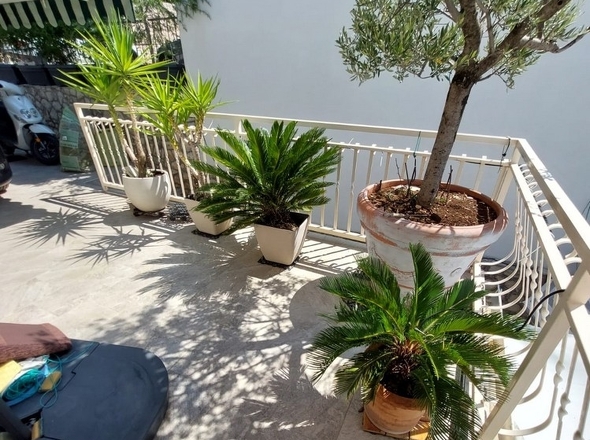 panorama-scouting-H2697-16