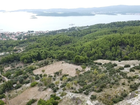 panorama-scouting-G437-3