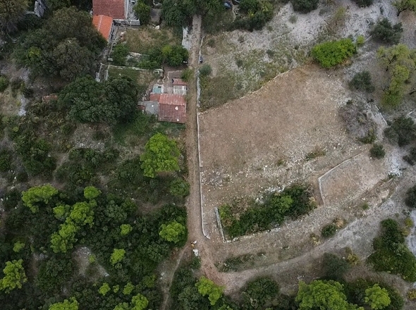 panorama-scouting-G437-1