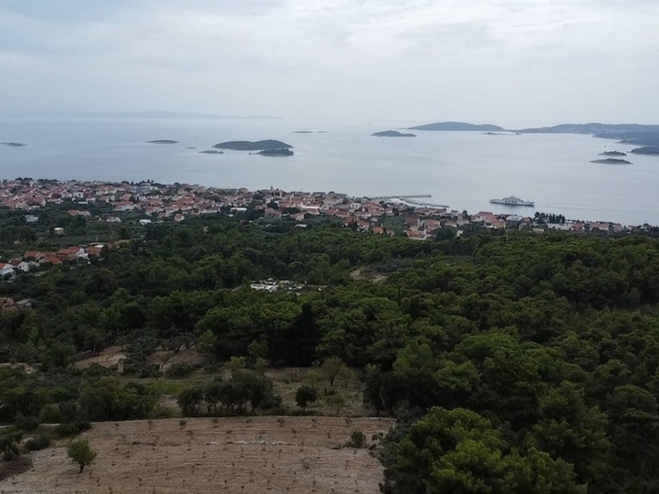 panorama-scouting-G437-7