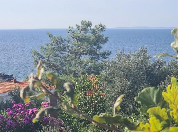 Panorama Scouting - H2810_25