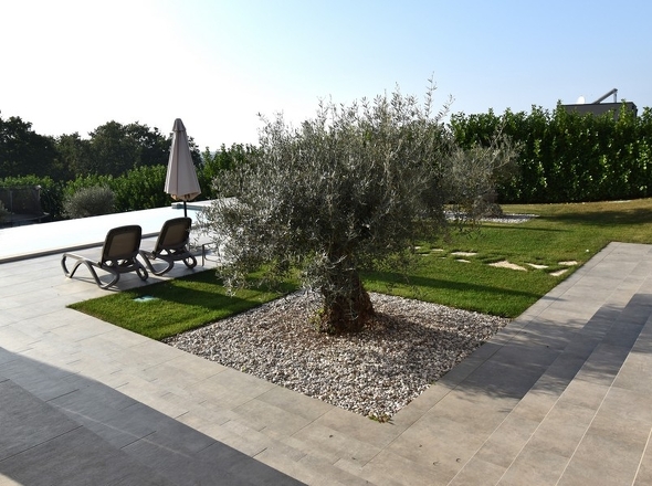 Panorama Scouting - H2811_5