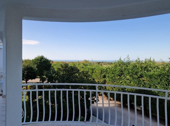 Panorama Scouting - A3114_6