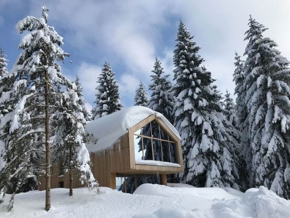 Panorama Scouting - H2819P