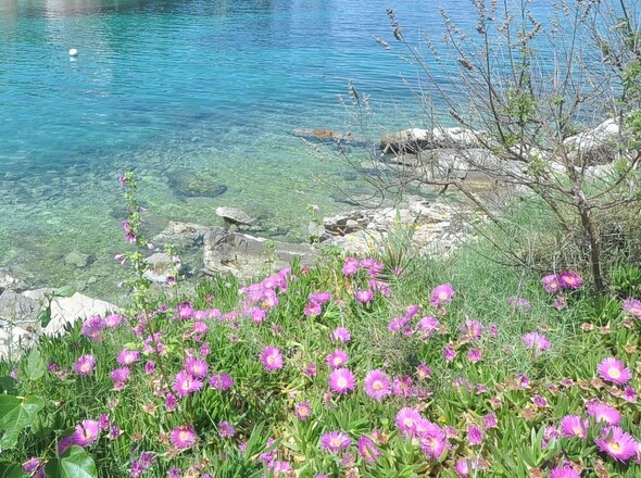 panorama-scouting-H2861-6