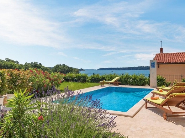 Panorama Scouting - H2867