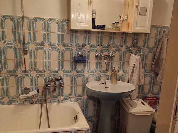 Panorama Scouting - H2869