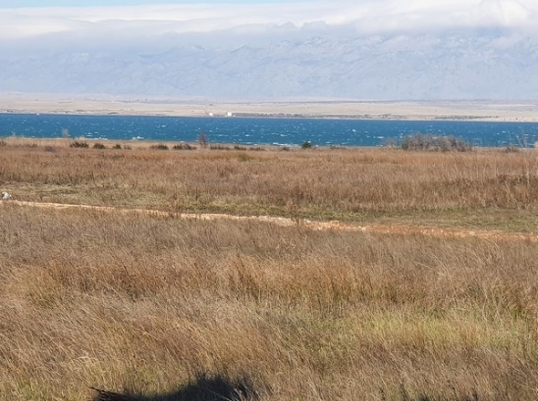 panorama-scouting-A3167-9