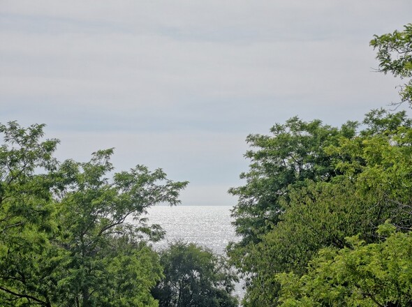 panorama-scouting-H2881-13