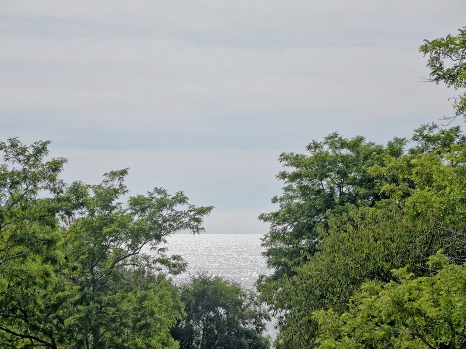 panorama-scouting-H2881-13