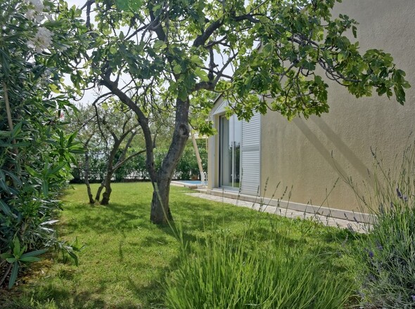 panorama-scouting-H2881-17