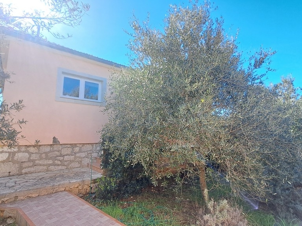 panorama-scouting-H2943-22