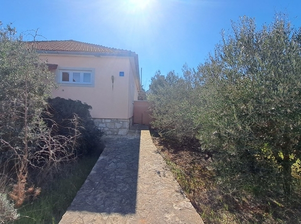 panorama-scouting-H2943-31