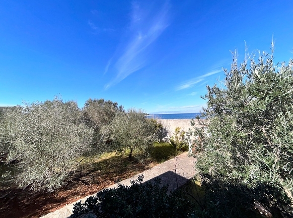 panorama-scouting-H2943-6