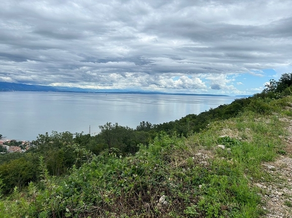 panorama-scouting-G445-1