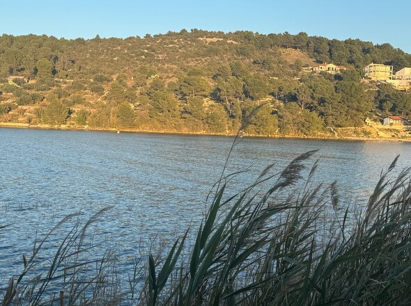 panorama-scouting-G447-1-8