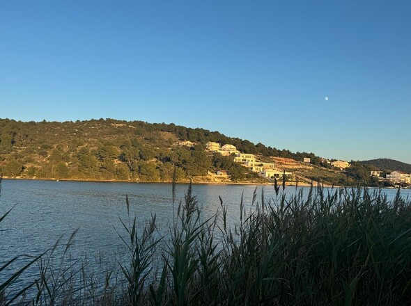 panorama-scouting-G447-1-10