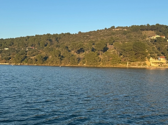 panorama-scouting-G448-1-6