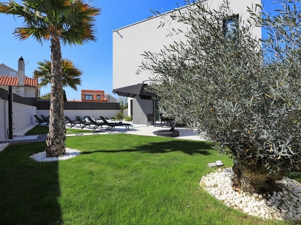 Panorama Scouting - H2999P_32