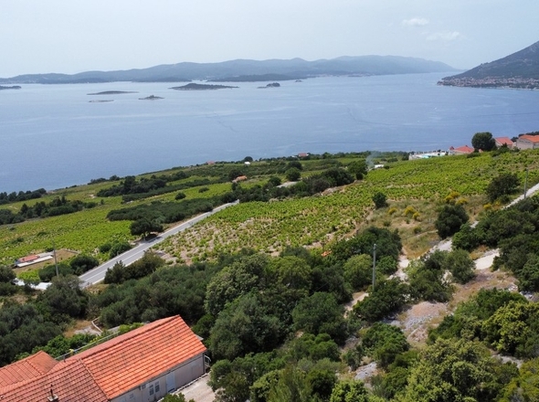 Panorama-Scouting-G452