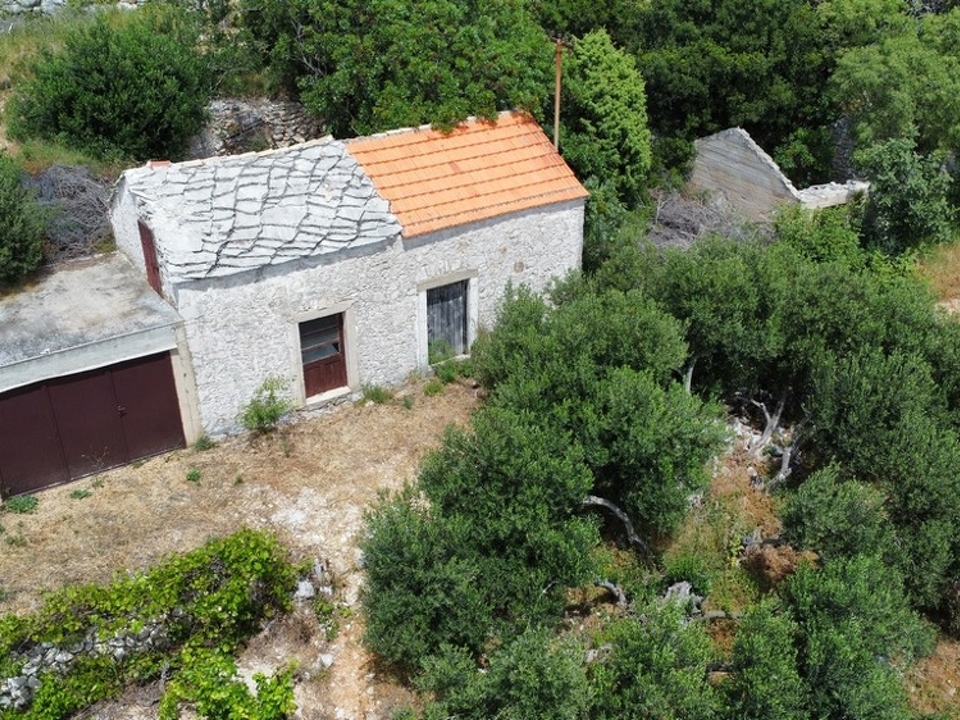 Panorama-Scouting-G452_4