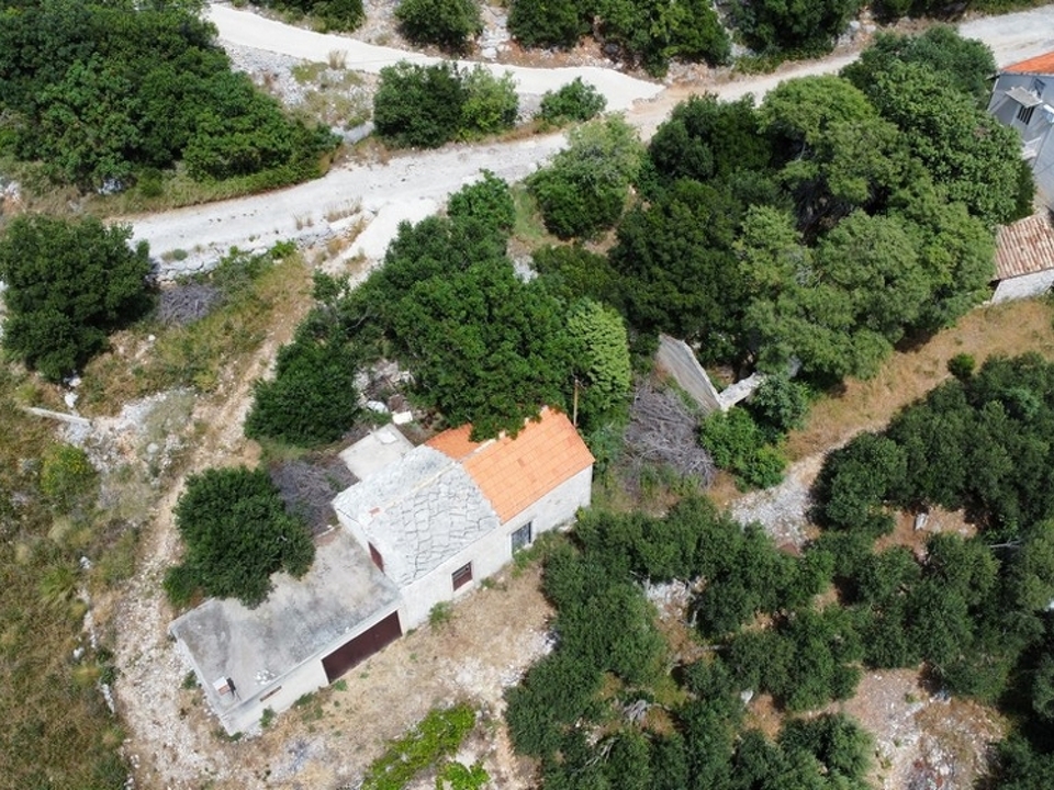 Panorama-Scouting-G452_5