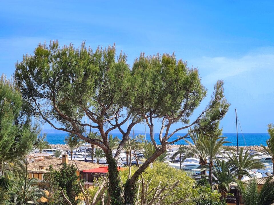 panorama-mallorca.de