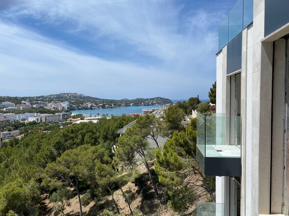 panorama-scouting-A071017-44