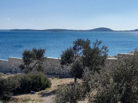 panorama-scouting-H3015-28