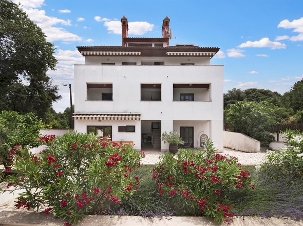 Panorama-Scouting - H3025-5