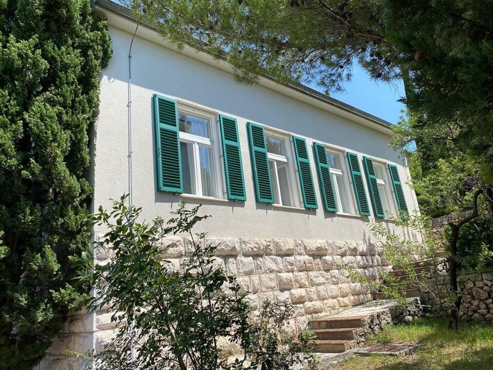 panorama-scouting-H3033-16