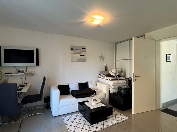 panorama-scouting-A3372-4