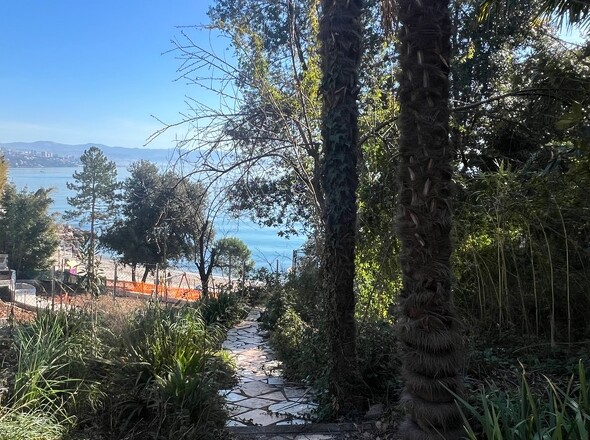 panorama-scouting-A3384-8