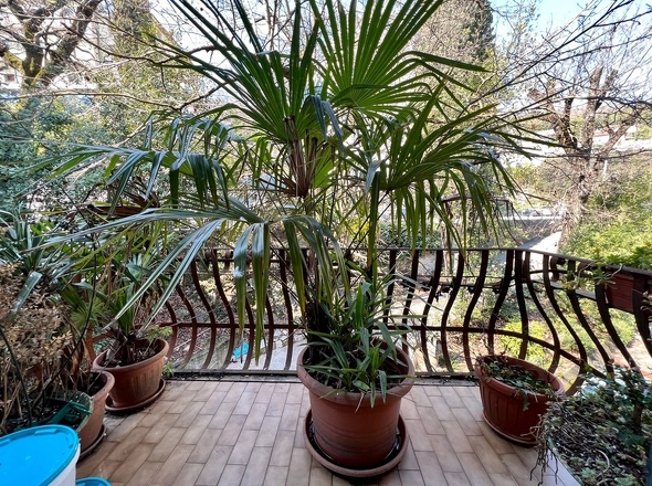 panorama-scouting-A3390-3