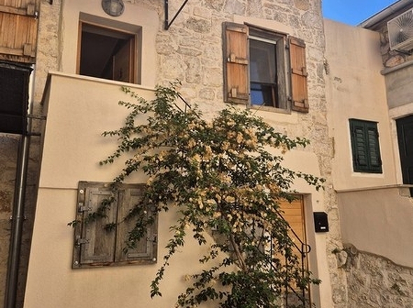 panorama-scouting-H3420-1