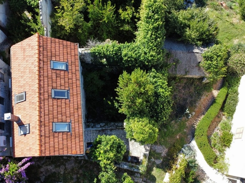 panorama-scouting-H3442-1-1