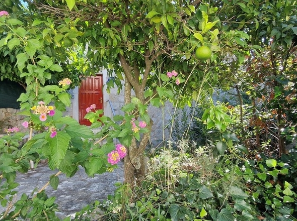 panorama-scouting-H3442-3