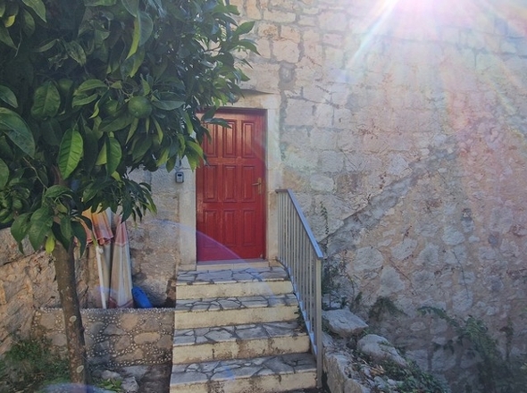 panorama-scouting-H3442-4