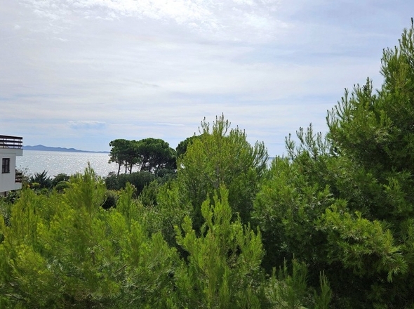 panorama-scouting-A3487_61