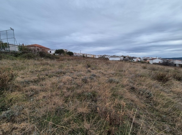 panorama-scouting-G458-4